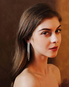 Falling Crystal Dangle Earrings